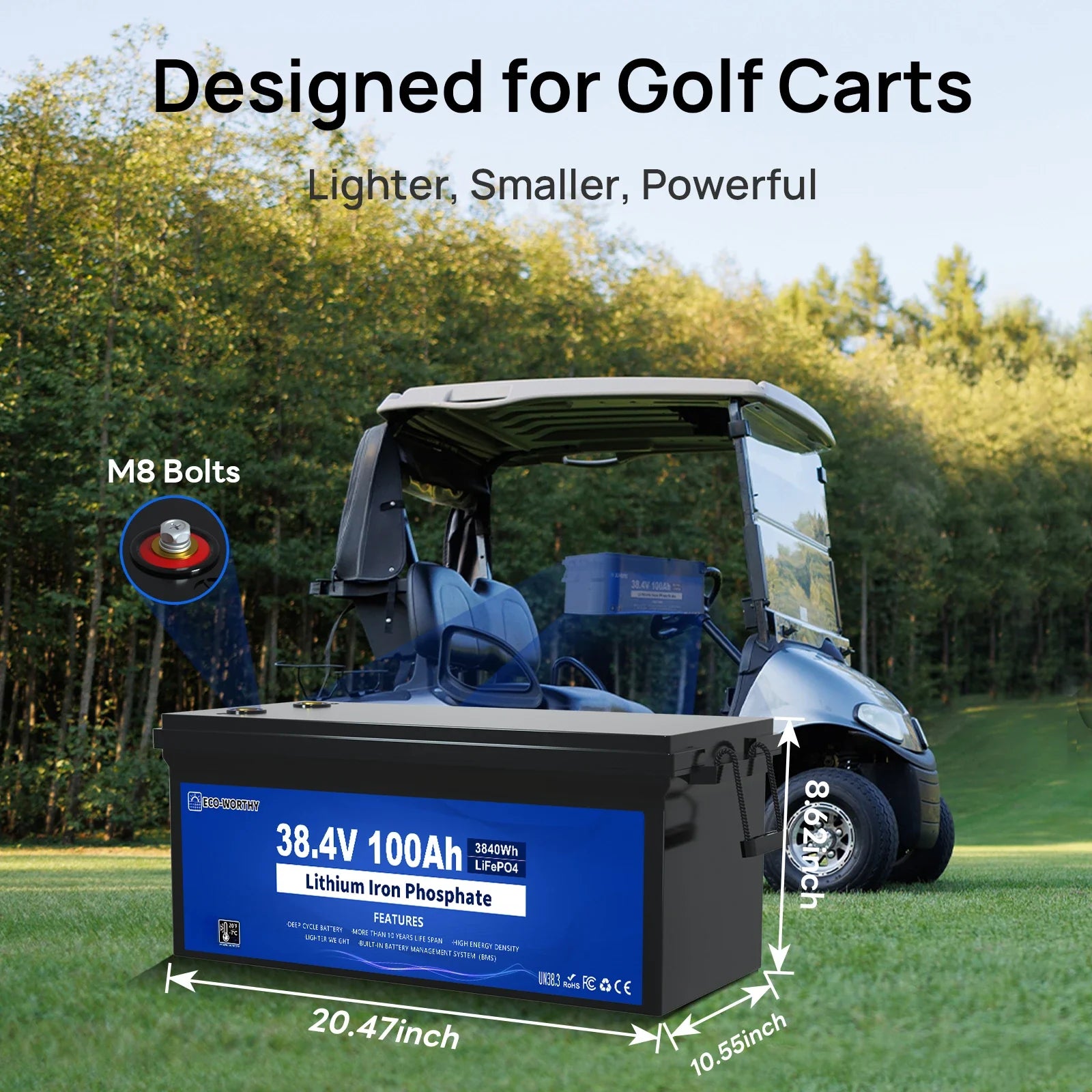 36V 100Ah Golf Cart Lithium Battery with BMS & Bluetooth